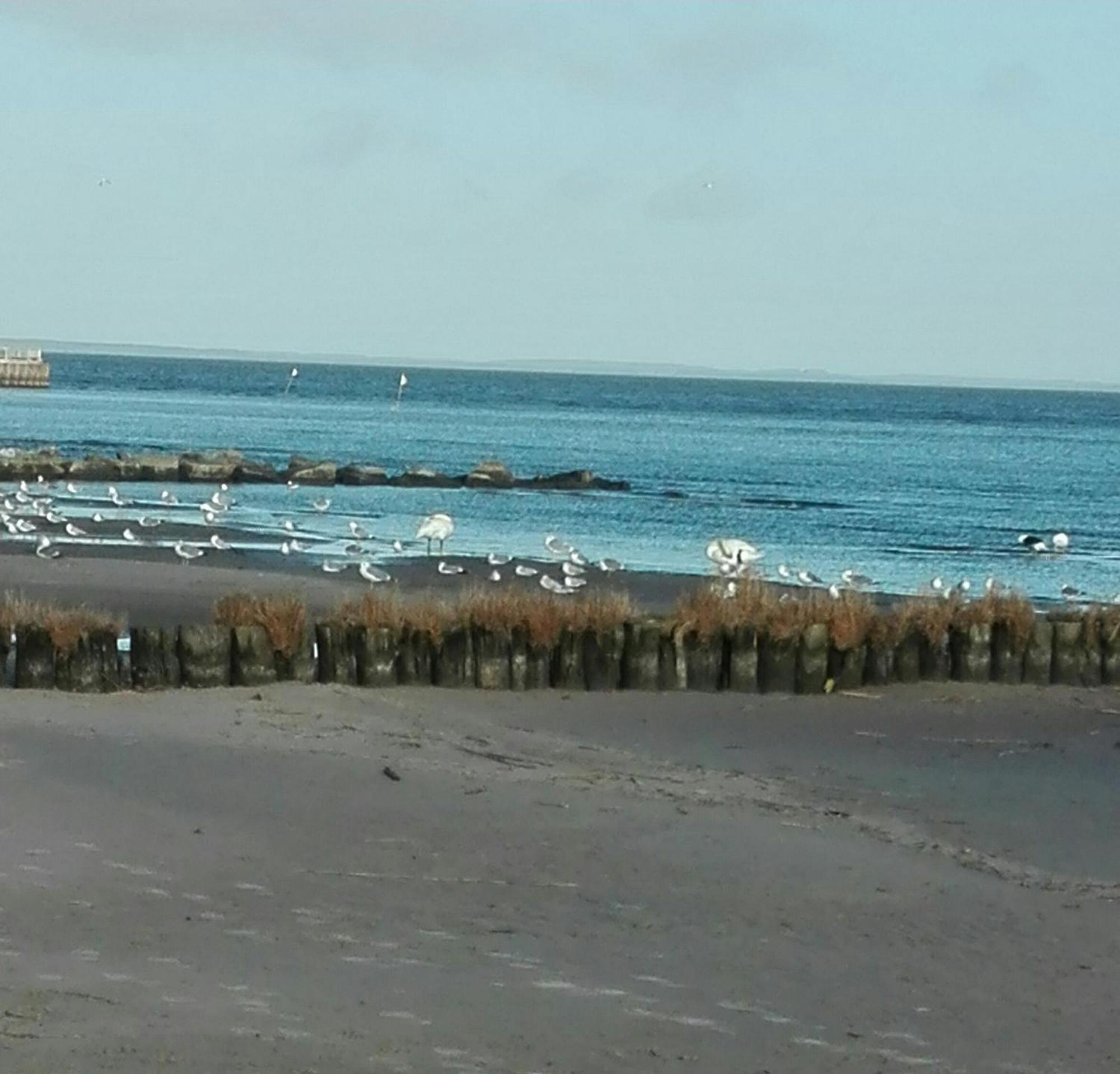 Fe'Wo, Strandnah, Ueckermuende3Ps,1Hund,Stettiner Haff, Zewnętrze zdjęcie